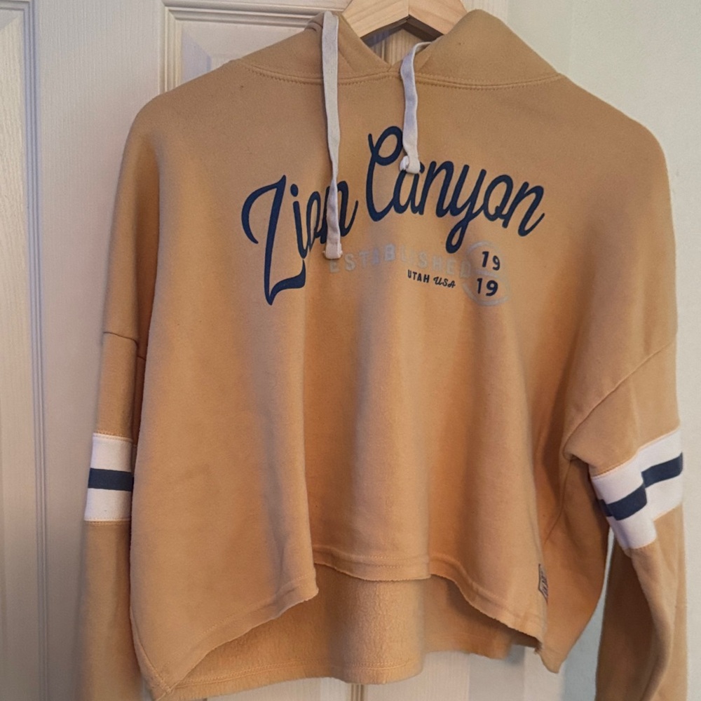 Good Land Supply Co. Tan Crop Top Hoodie